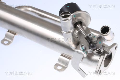 Radiador válvula egr Triscan A/S ref. 8813 29320