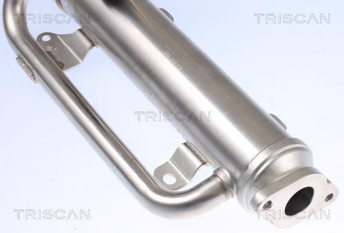 Radiador válvula egr Triscan A/S ref. 8813 29320