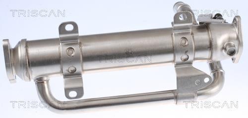 Radiador válvula egr Triscan A/S ref. 8813 29320