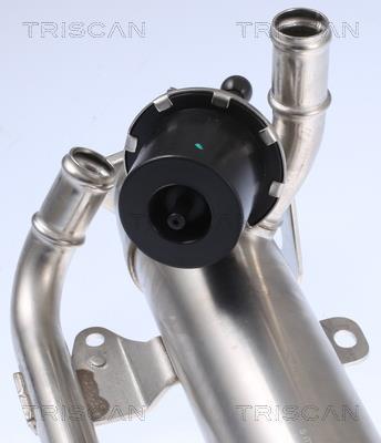 Radiador válvula egr Triscan A/S ref. 8813 29320