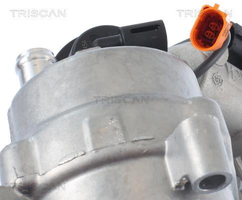 Vanne EGR Triscan A/S 8813 29321