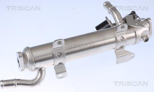 Radiateur, réaspiration des gaz d'échappement Triscan A/S 8813 29322