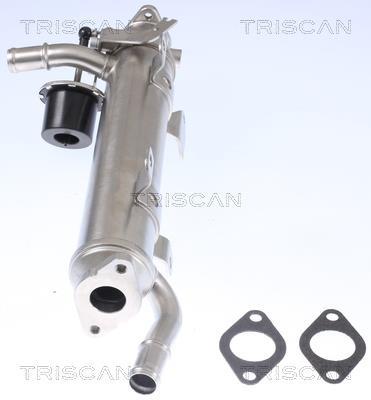 Radiateur, réaspiration des gaz d'échappement Triscan A/S 8813 29322