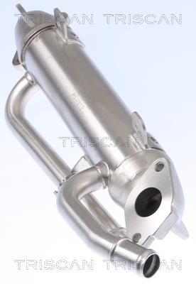 Radiateur, réaspiration des gaz d'échappement Triscan A/S 8813 29324