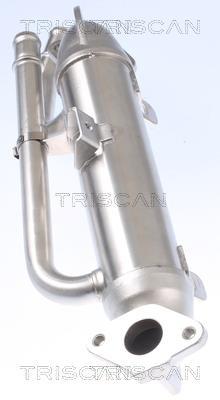 Radiateur, réaspiration des gaz d'échappement Triscan A/S 8813 29324