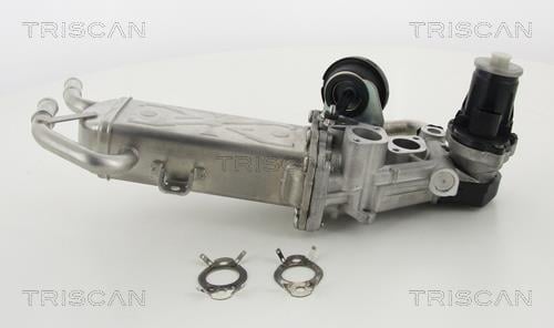 Vanne EGR Triscan A/S ref. 8813 29325