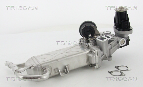 Vanne EGR Triscan A/S ref. 8813 29325