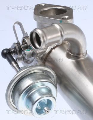 Radiateur, réaspiration des gaz d'échappement Triscan A/S 8813 29326