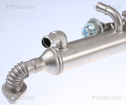 Radiateur, réaspiration des gaz d'échappement Triscan A/S 8813 29326