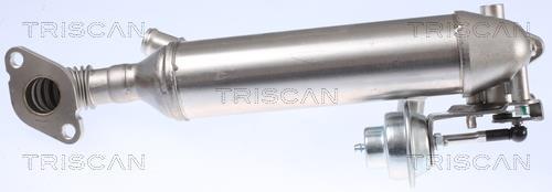 Radiateur, réaspiration des gaz d'échappement Triscan A/S 8813 29326