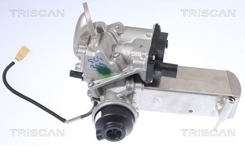 Vanne EGR Triscan A/S 8813 29327