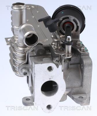 Radiateur, réaspiration des gaz d'échappement Triscan A/S 8813 29328
