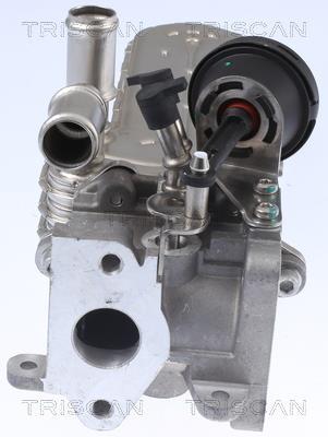 Radiateur, réaspiration des gaz d'échappement Triscan A/S 8813 29328