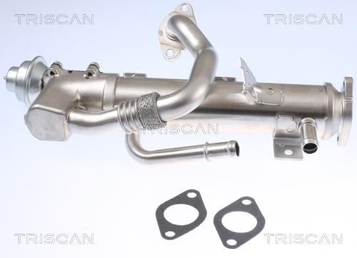 Radiateur, réaspiration des gaz d'échappement Triscan A/S 8813 29329