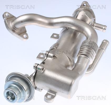 Radiateur, réaspiration des gaz d'échappement Triscan A/S 8813 29329