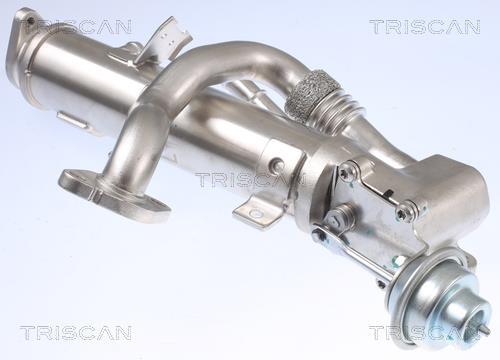 Radiateur, réaspiration des gaz d'échappement Triscan A/S 8813 29329