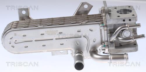 Radiateur, réaspiration des gaz d'échappement Triscan A/S 8813 29331