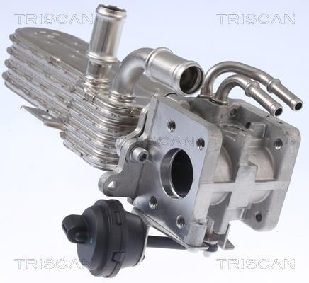 Radiateur, réaspiration des gaz d'échappement Triscan A/S 8813 29331