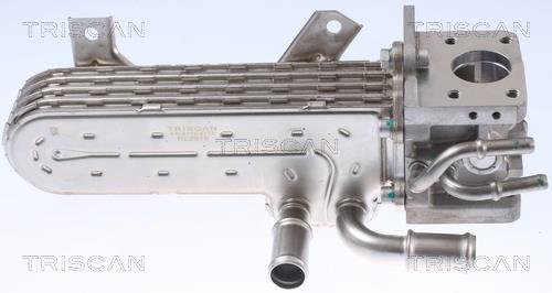 Radiateur, réaspiration des gaz d'échappement Triscan A/S 8813 29331