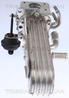 Radiateur, réaspiration des gaz d'échappement Triscan A/S 8813 29331