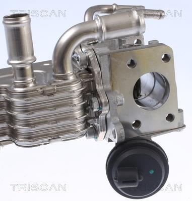 Radiateur, réaspiration des gaz d'échappement Triscan A/S 8813 29331