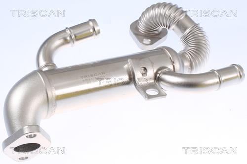 Radiador válvula egr Triscan A/S ref. 8813 29332