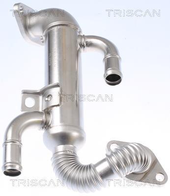 Radiador válvula egr Triscan A/S ref. 8813 29332