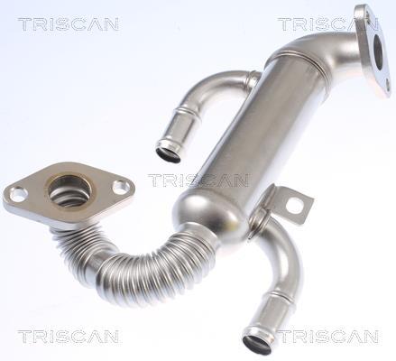Radiador válvula egr Triscan A/S ref. 8813 29332