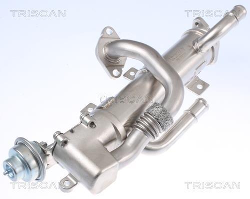 Radiateur, réaspiration des gaz d'échappement Triscan A/S 8813 29333