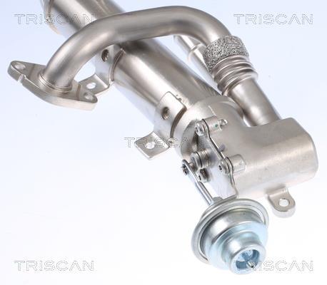 Radiateur, réaspiration des gaz d'échappement Triscan A/S 8813 29333