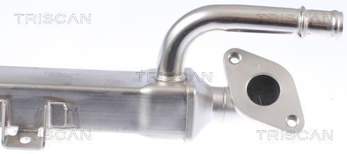 Radiador válvula egr Triscan A/S ref. 8813 29334