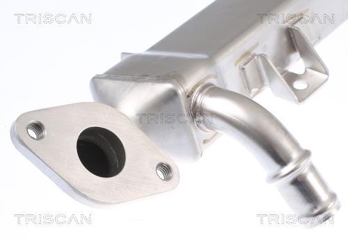 Radiador válvula egr Triscan A/S ref. 8813 29334