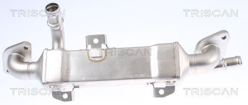 Radiador válvula egr Triscan A/S ref. 8813 29334
