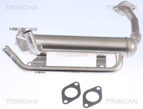 Radiateur, réaspiration des gaz d'échappement Triscan A/S 8813 29335