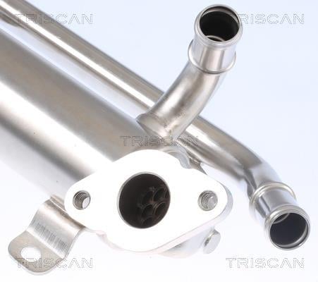 Radiateur, réaspiration des gaz d'échappement Triscan A/S 8813 29335
