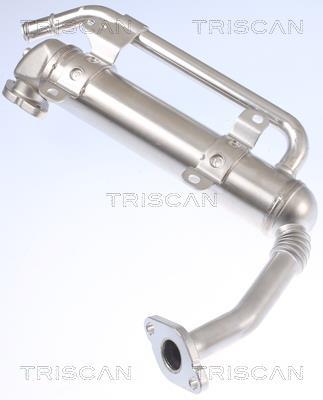 Radiateur, réaspiration des gaz d'échappement Triscan A/S 8813 29335