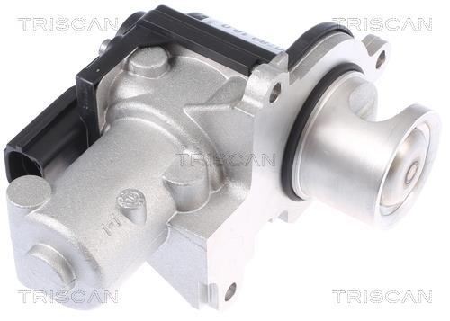 Vanne EGR Triscan A/S 8813 29338