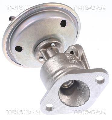 Vanne EGR Triscan A/S 8813 29340