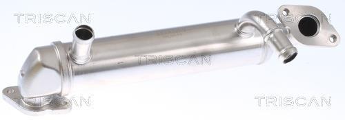 Radiador válvula egr Triscan A/S ref. 8813 29343