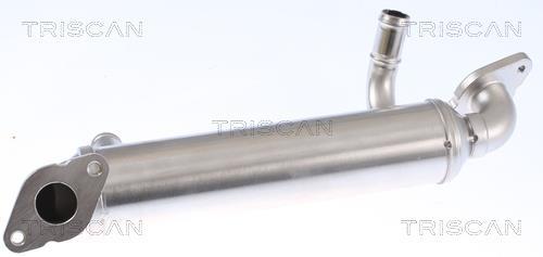 Radiador válvula egr Triscan A/S ref. 8813 29343