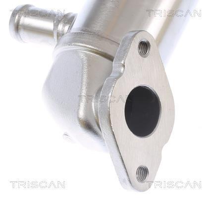 Radiador válvula egr Triscan A/S ref. 8813 29343