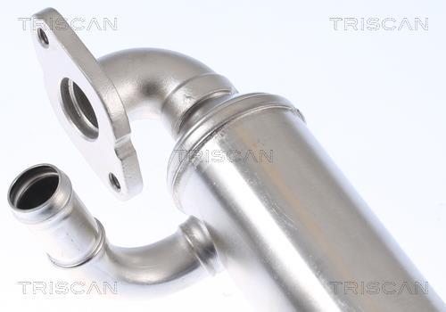 Radiador válvula egr Triscan A/S ref. 8813 29343