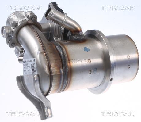 Vanne EGR Triscan A/S ref. 8813 29345