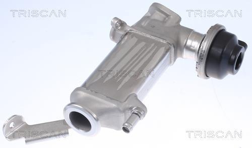 Radiador válvula egr Triscan A/S ref. 8813 29346