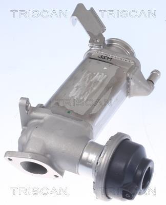 Radiador válvula egr Triscan A/S ref. 8813 29346