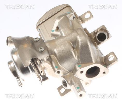 Vanne EGR Triscan A/S ref. 8813 29347