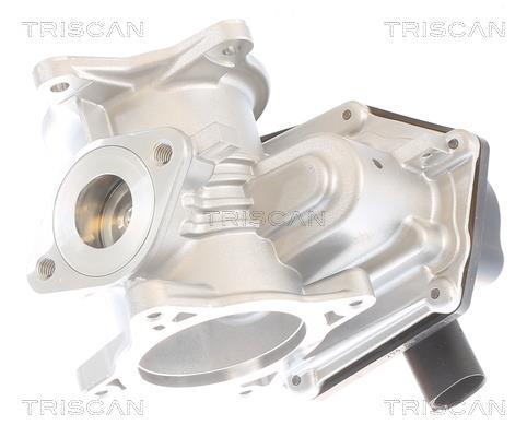 Vanne EGR Triscan A/S ref. 8813 29348