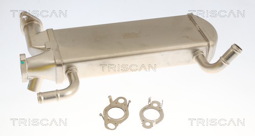 Radiador válvula egr Triscan A/S 8813 29349