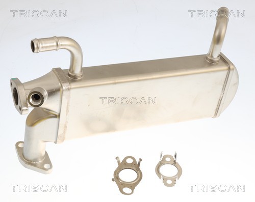 Radiador válvula egr Triscan A/S 8813 29349