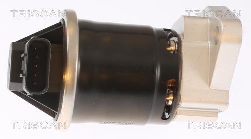 Válvula EGR Triscan A/S ref. 8813 40003